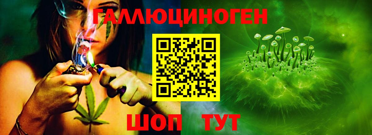 Псилоцибиновые грибы мицелий Белореченск